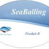 Seaballing b